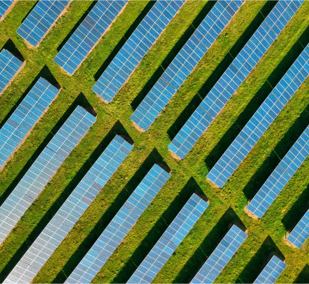 Solar panels field